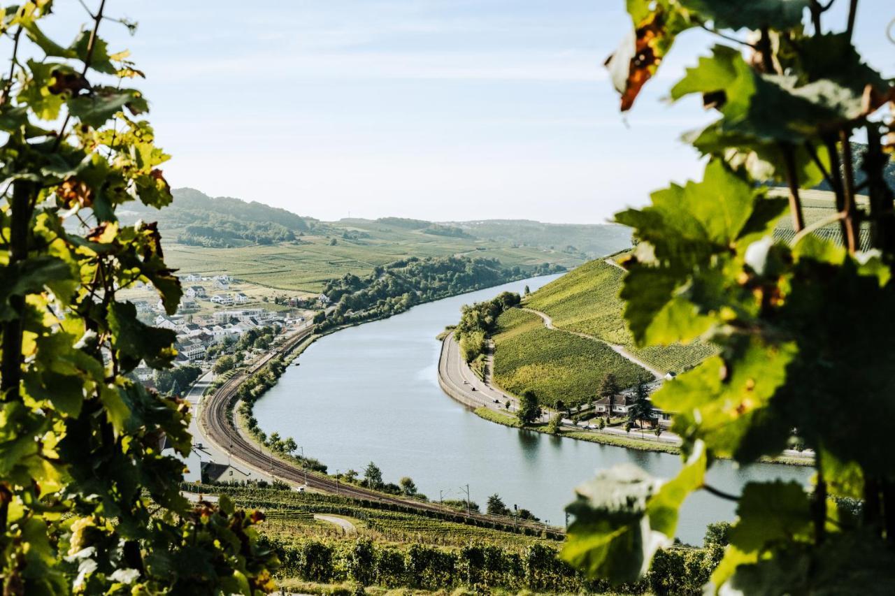 Weingut Und Gaestehaus Apel Nittel Exterior foto